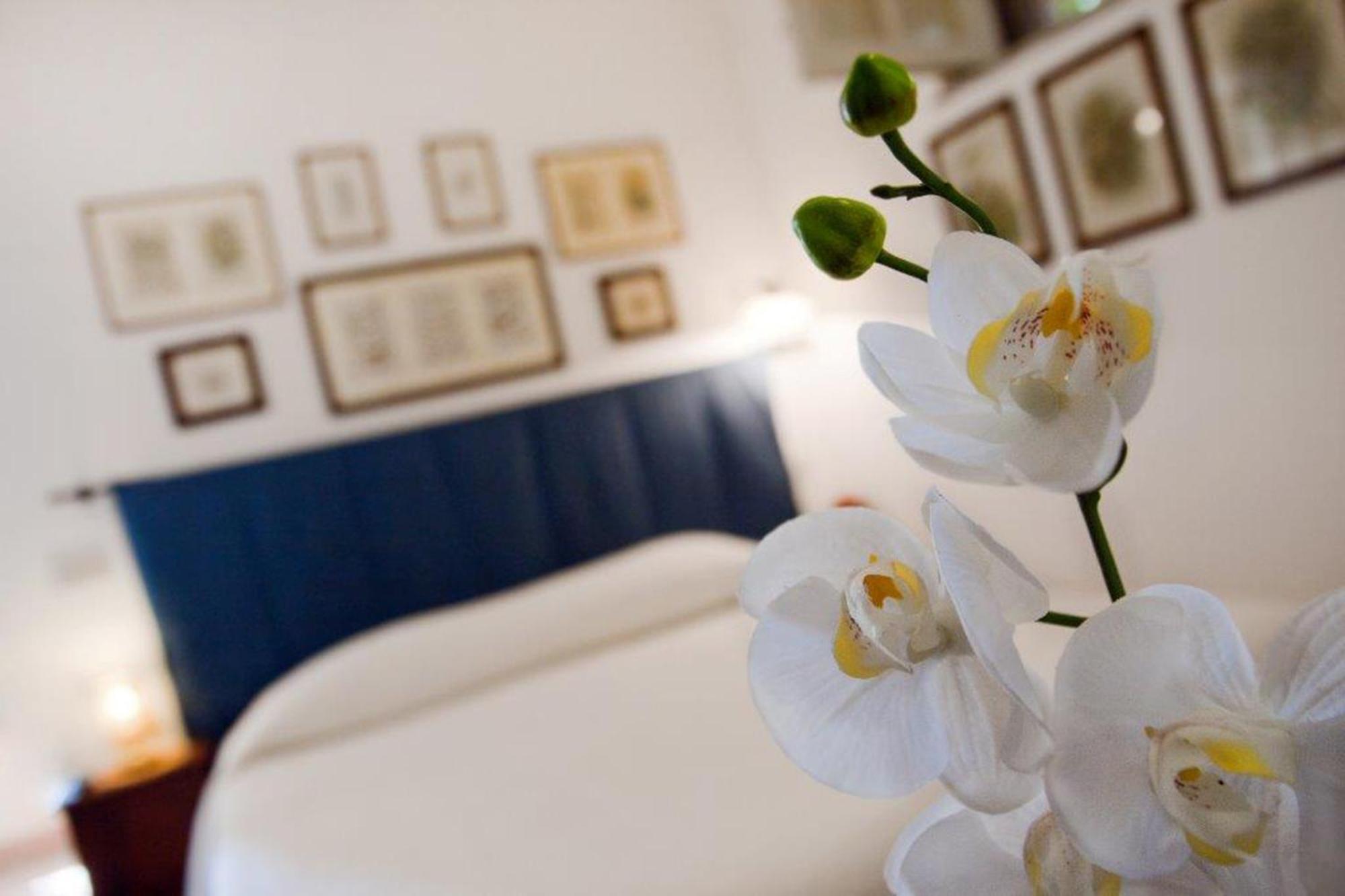 Il Glicine Sul Golfo Bed and Breakfast Mondello Rum bild